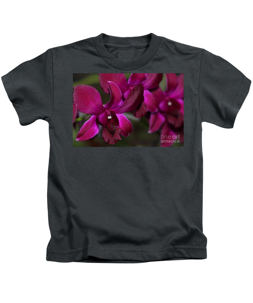 Purple Kids T-Shirt featuring the photograph Purple Orchid by Meg Rousher