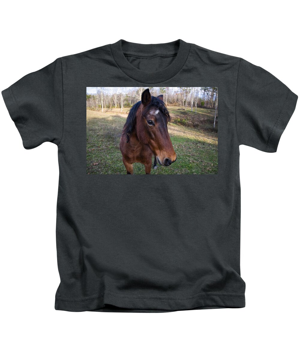 Horse Kids T-Shirt featuring the photograph Quarter Horse close up by Flees Photos