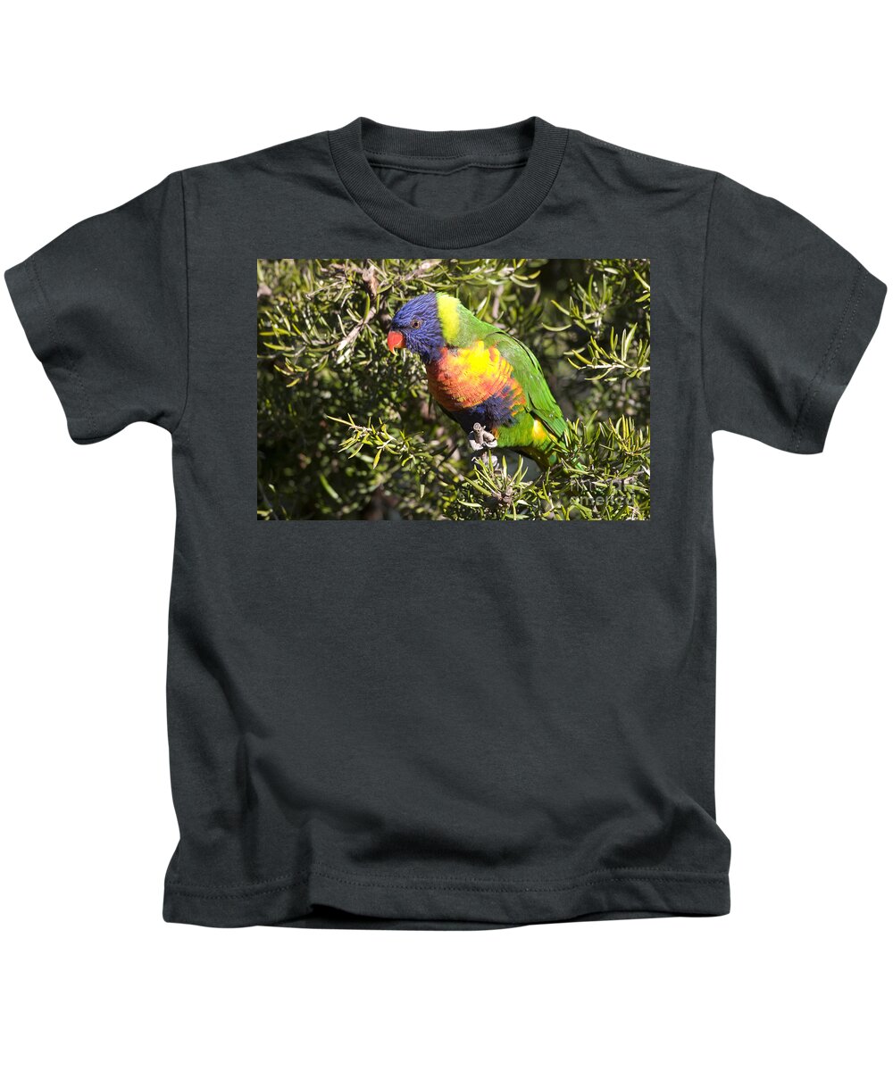 Australia Kids T-Shirt featuring the photograph Rainbow Lorikeet by Steven Ralser