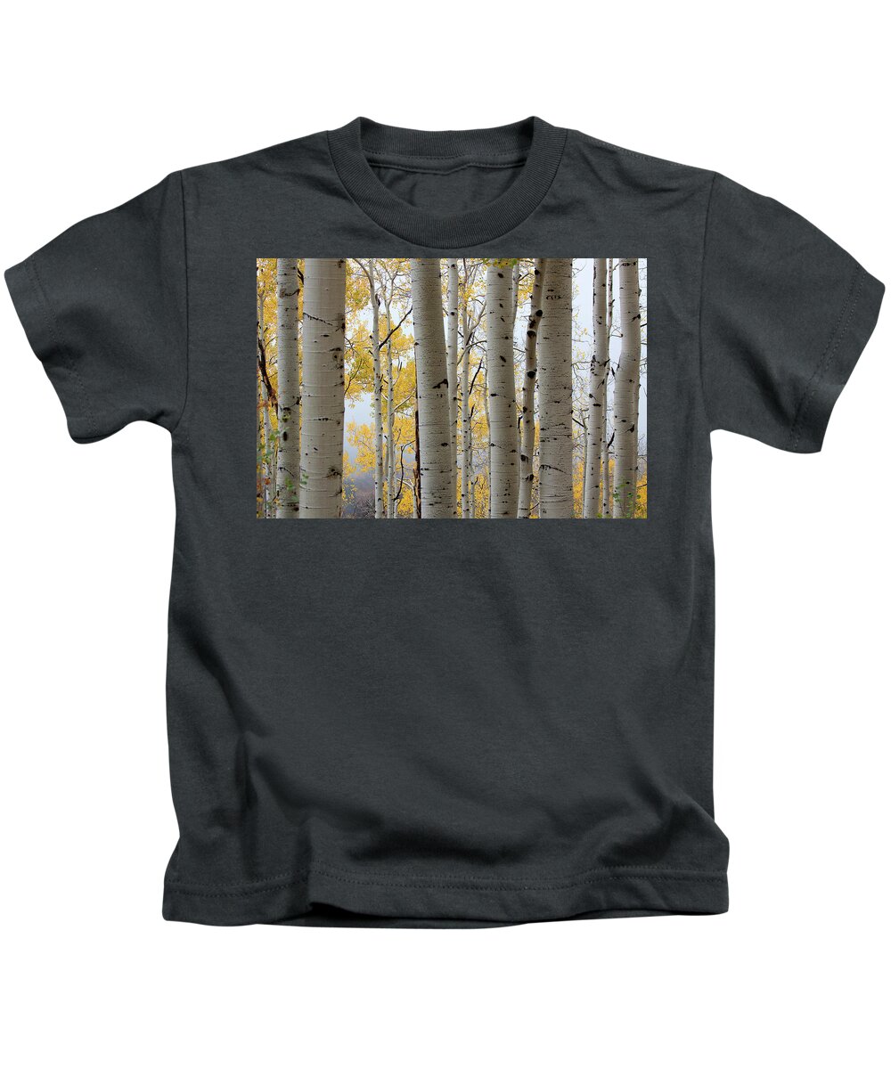 Autumn Colors Kids T-Shirt featuring the photograph Rainy Day Aspen by Jim Garrison
