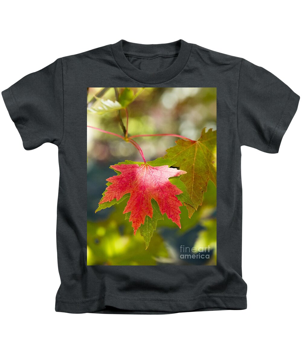 Arboretum Kids T-Shirt featuring the photograph Red And Green by Steven Ralser