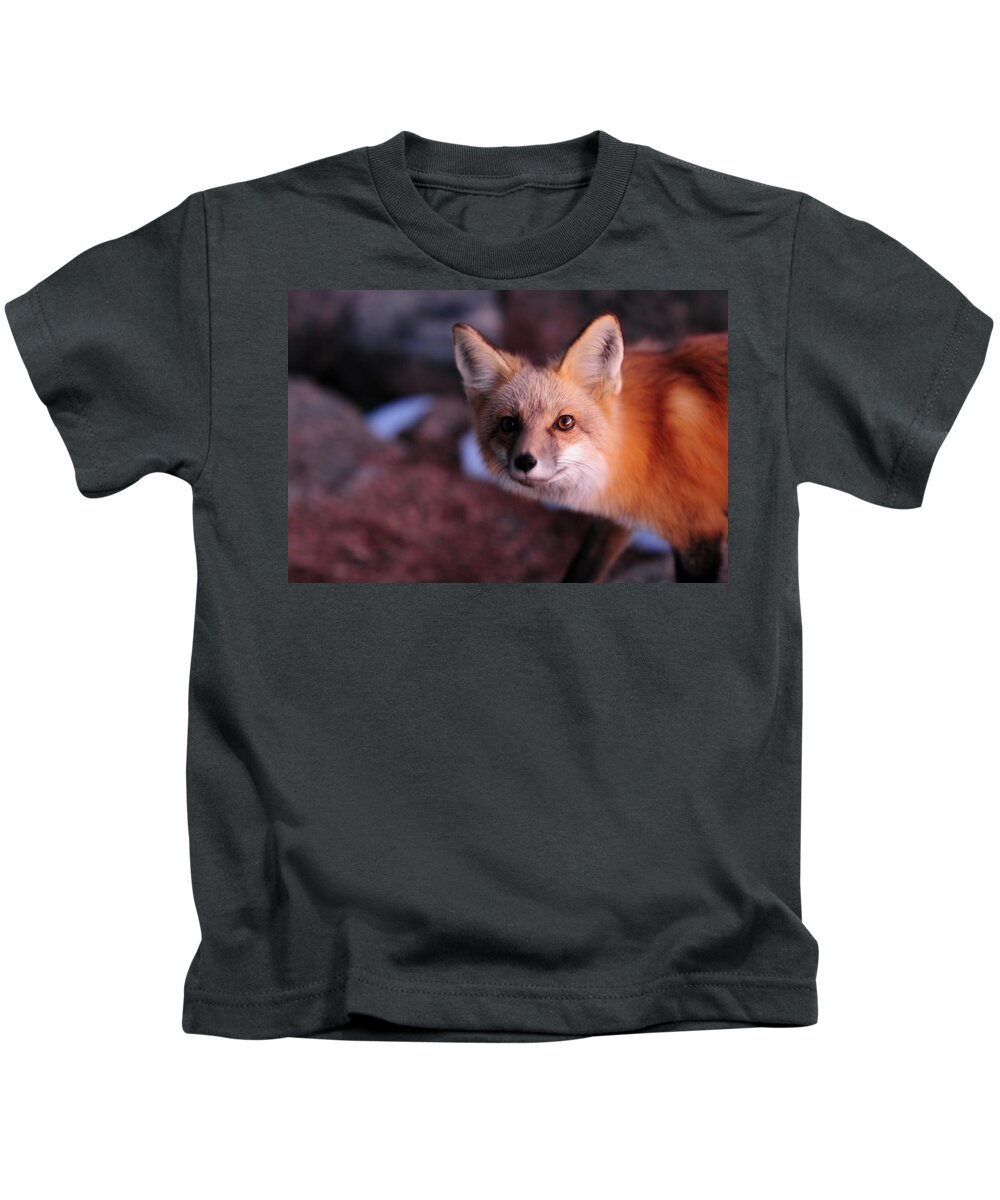 Colorado Kids T-Shirt featuring the photograph Red Fox at Sunset by Marilyn Burton
