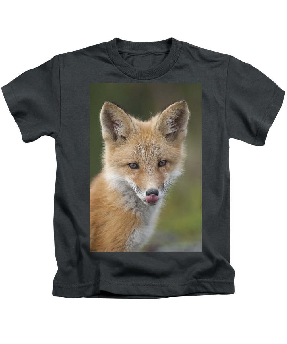 530769 Kids T-Shirt featuring the photograph Red Fox Pup Alaska by Michael Quinton