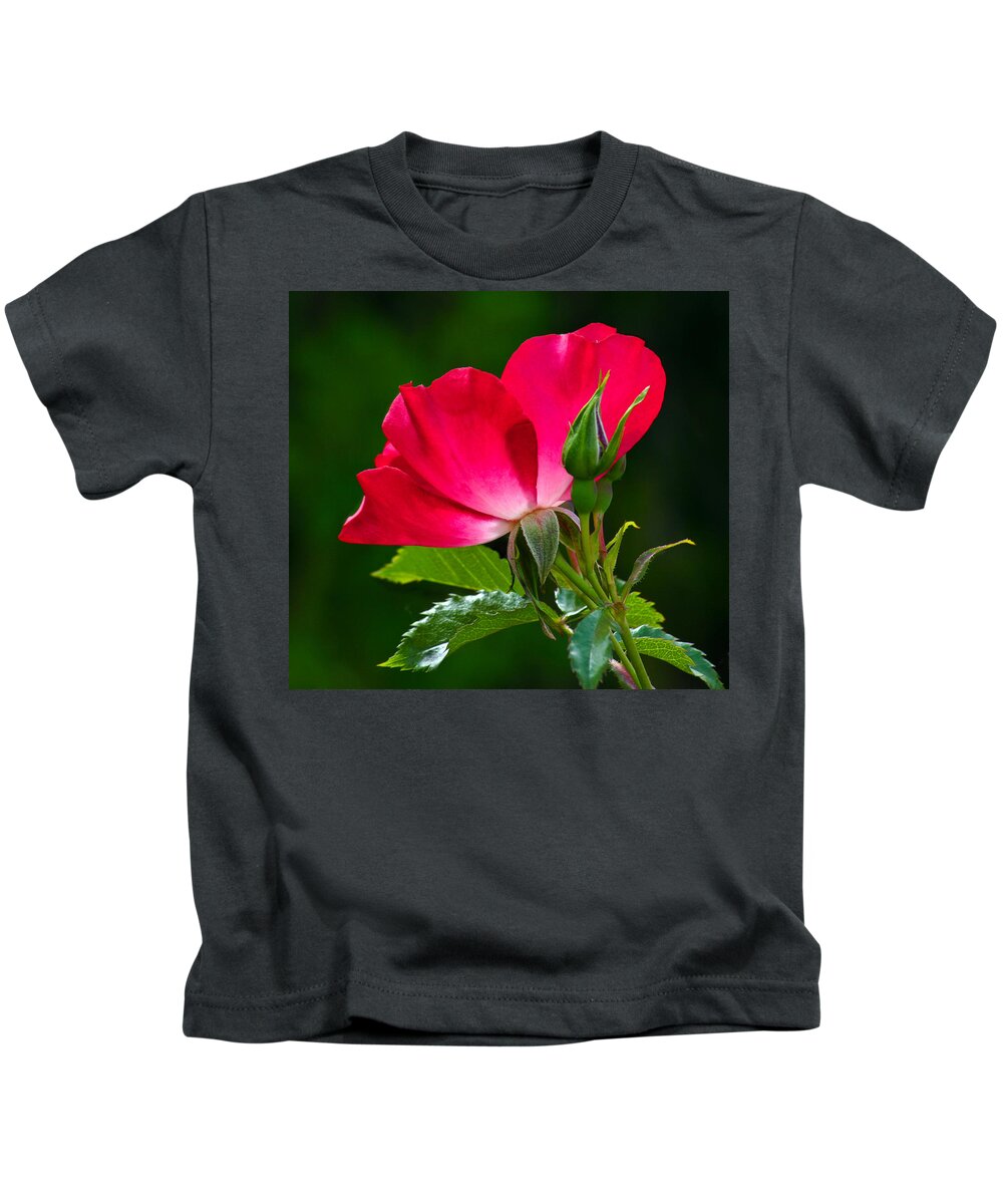 Rose Kids T-Shirt featuring the photograph Red rose by Jean Noren