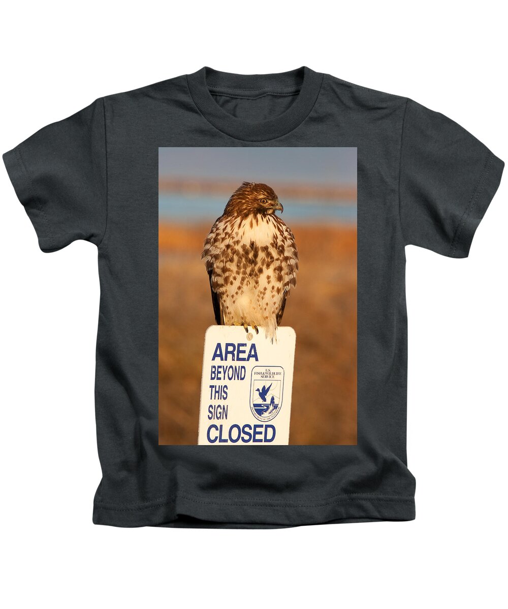 Red-tailed Hawk Kids T-Shirt featuring the photograph Red Tailed Hawk Lower Klamath National Wildlife Refuge Northern California by Ram Vasudev