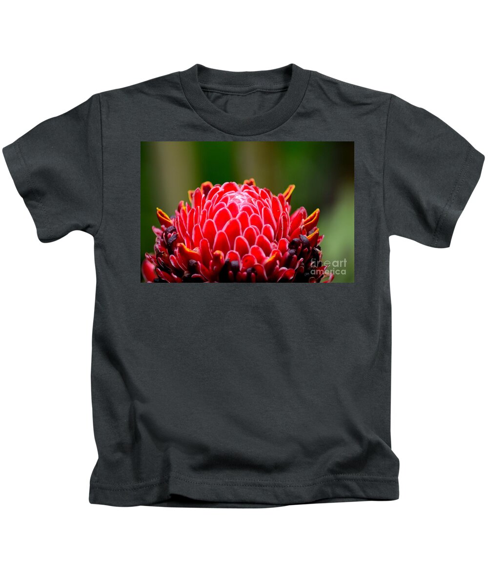 Ginger Kids T-Shirt featuring the photograph Red Torch Ginger Flower head from tropics Singapore by Imran Ahmed