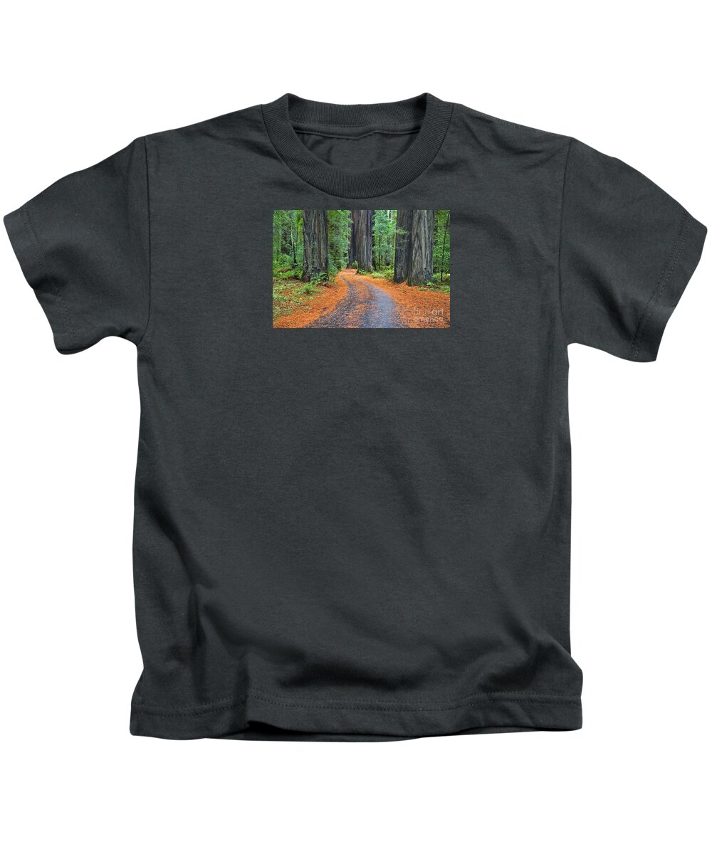 California Kids T-Shirt featuring the photograph Redwood Way by Alice Cahill