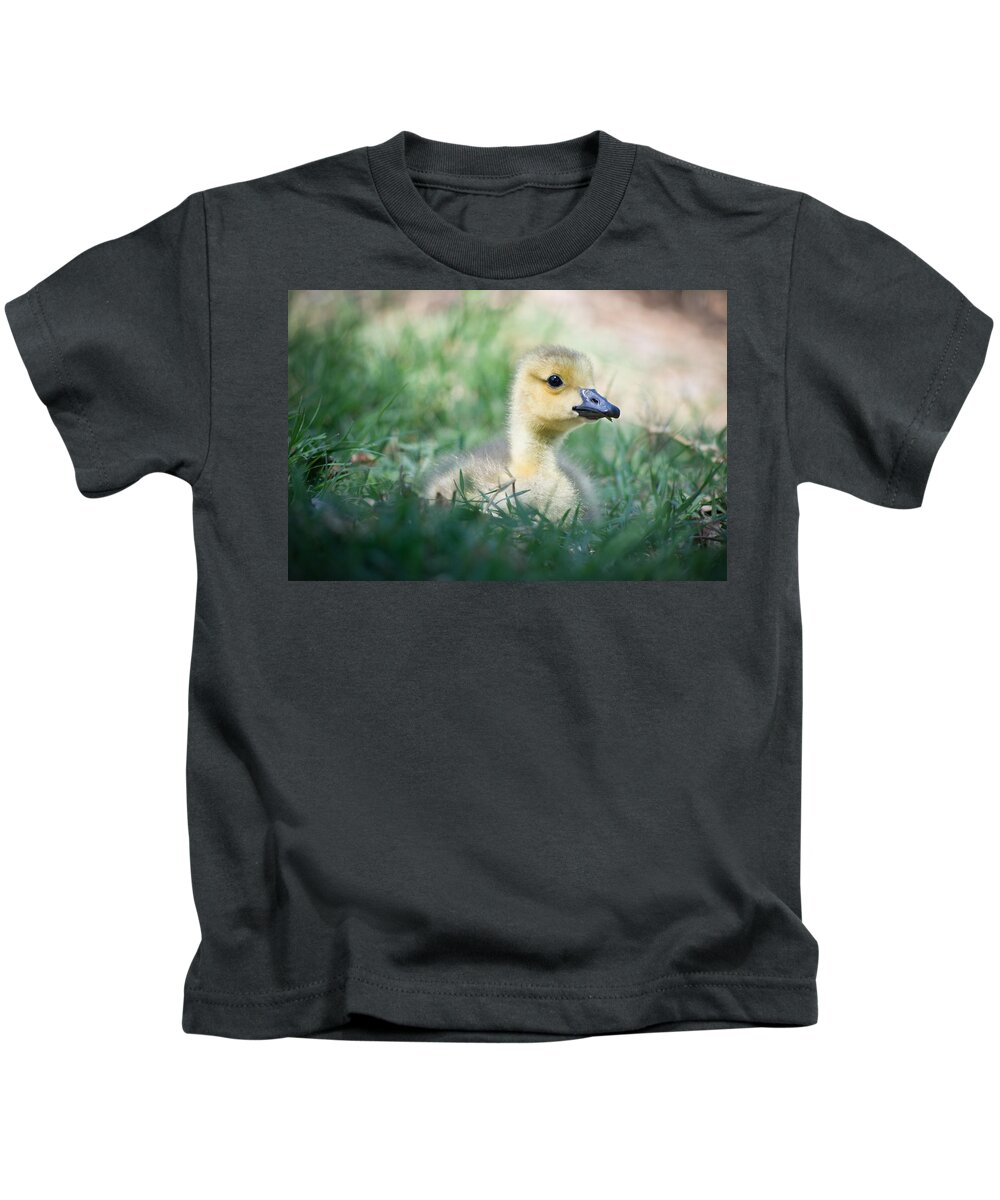 Gosling Kids T-Shirt featuring the photograph Rest by Priya Ghose