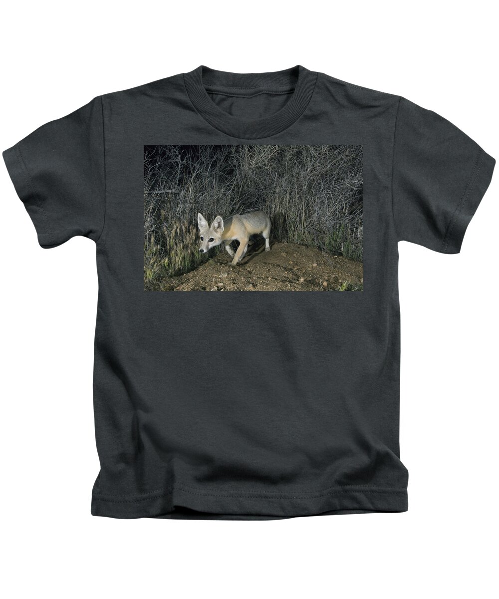 Feb0514 Kids T-Shirt featuring the photograph San Joaquin Kit Fox At Night Carrizo by Kevin Schafer