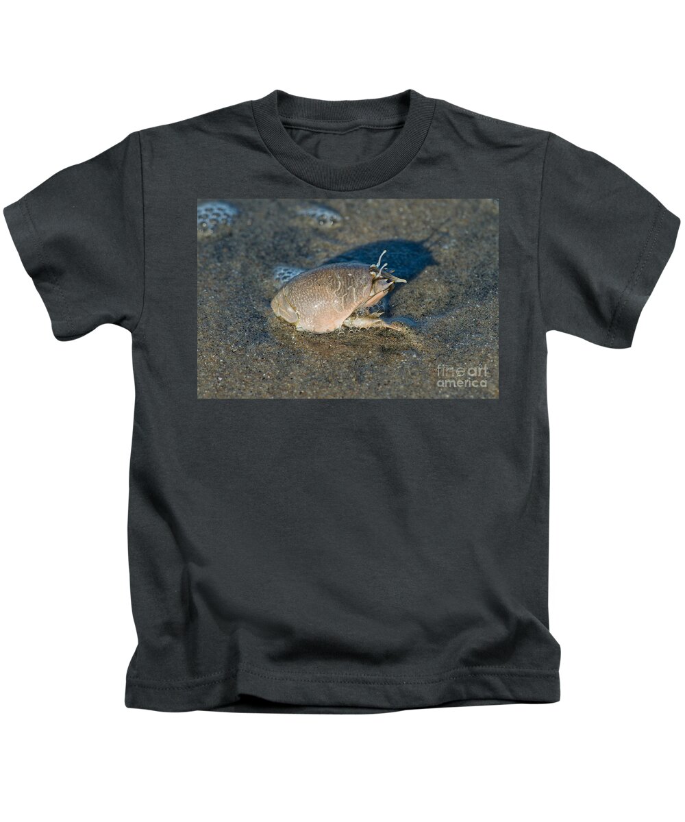 Pacific Sand Crab Kids T-Shirt featuring the photograph Sand Crab Or Mole Crab by Anthony Mercieca