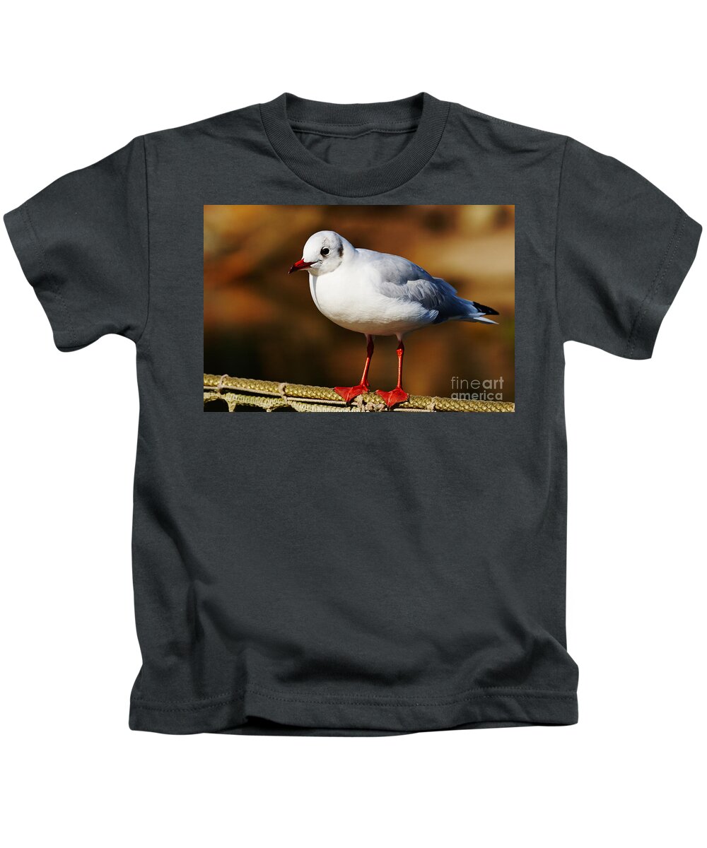 Closeup Kids T-Shirt featuring the photograph Seagull on a wire by Nick Biemans