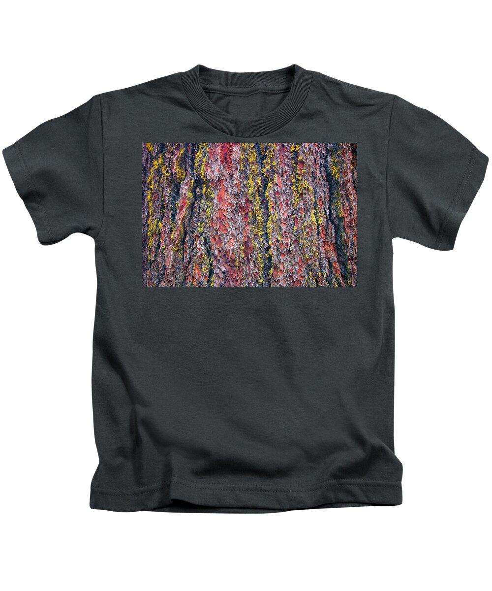 Giant Sequoia Kids T-Shirt featuring the photograph Giant Sequoia Tree Closeup Abstract - Sequoia National Park California by Ram Vasudev