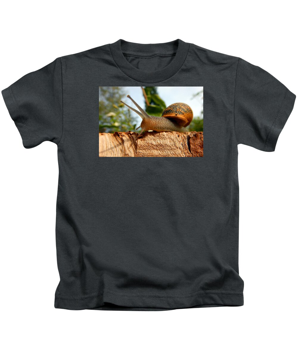Snail Kids T-Shirt featuring the photograph Snail on wood by Manolis Tsantakis