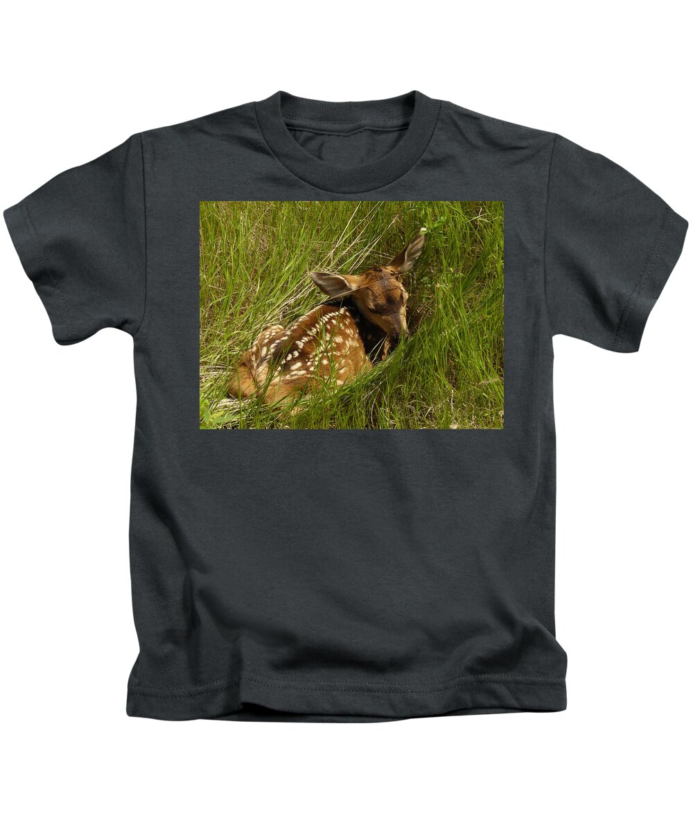 Fawn Kids T-Shirt featuring the photograph Something I Stumbled On by Jeff Swan