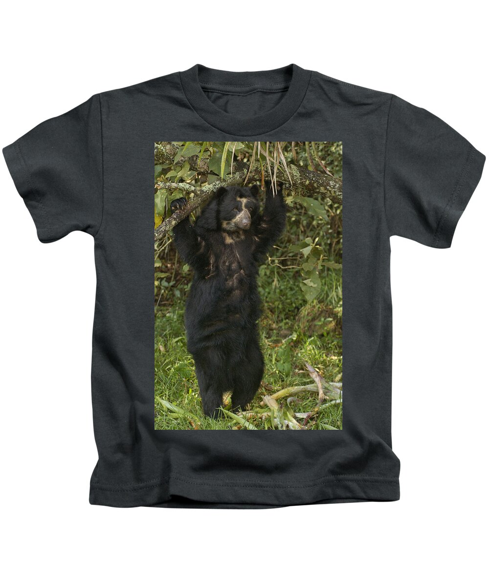 Feb0514 Kids T-Shirt featuring the photograph Spectacled Bear In Cloud Forest by Pete Oxford