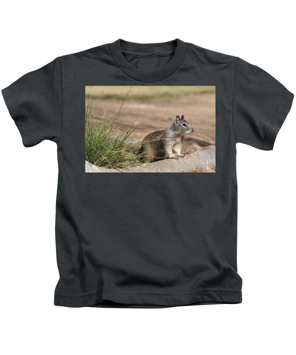 Squirrel Kids T-Shirt featuring the photograph The Beggar by Christy Pooschke