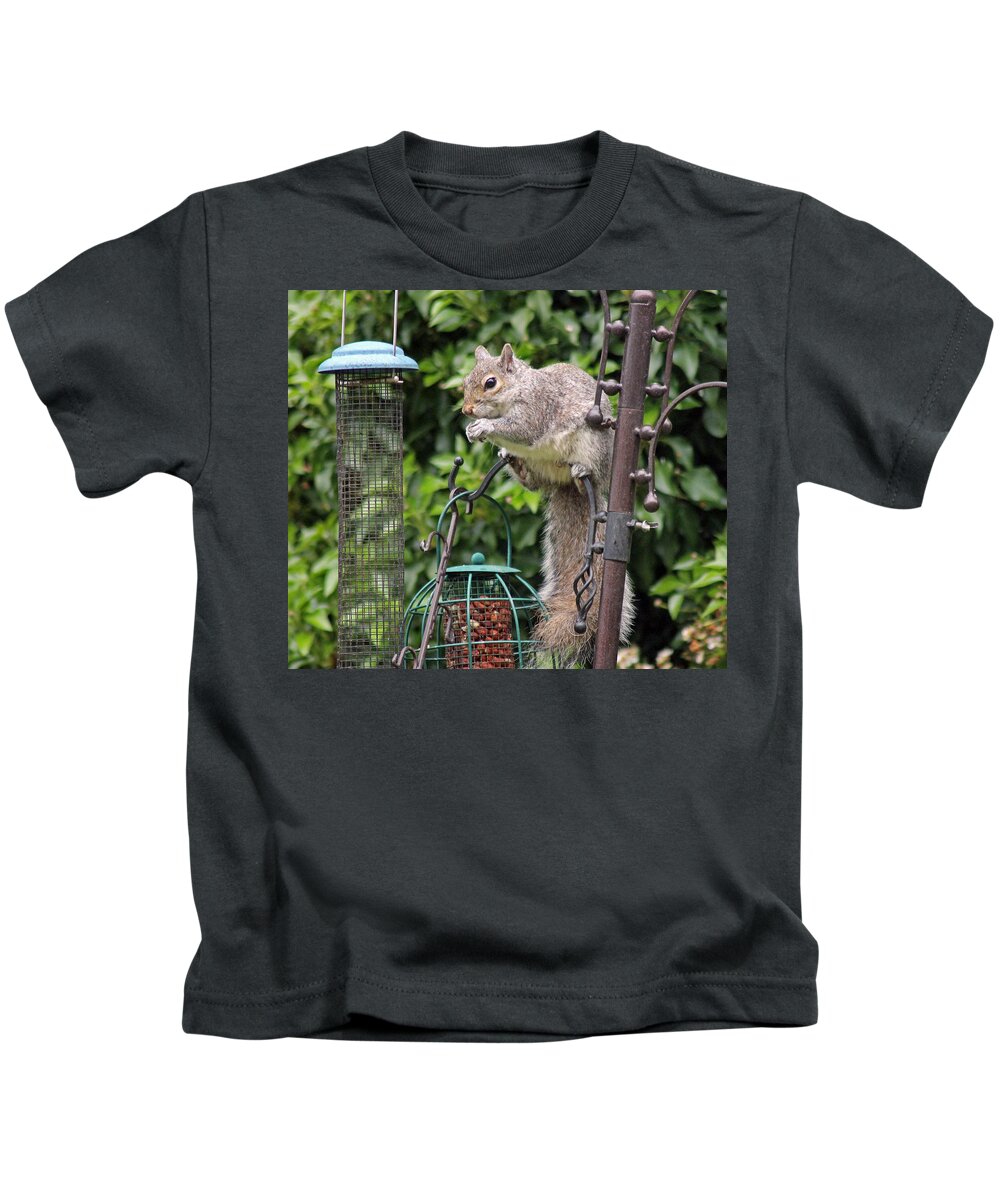 Grey Squirrel Kids T-Shirt featuring the photograph Squirrel eating nuts by Tony Murtagh