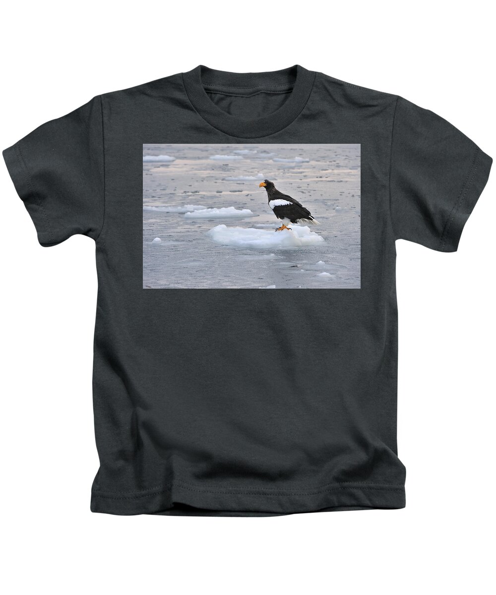 Thomas Marent Kids T-Shirt featuring the photograph Stellers Sea Eagle On Ice Floe Hokkaido by Thomas Marent