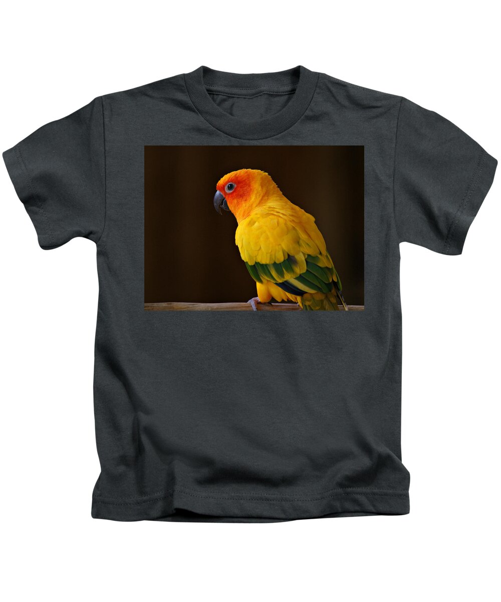 Parrot Kids T-Shirt featuring the photograph Sun Conure Parrot by Sandy Keeton