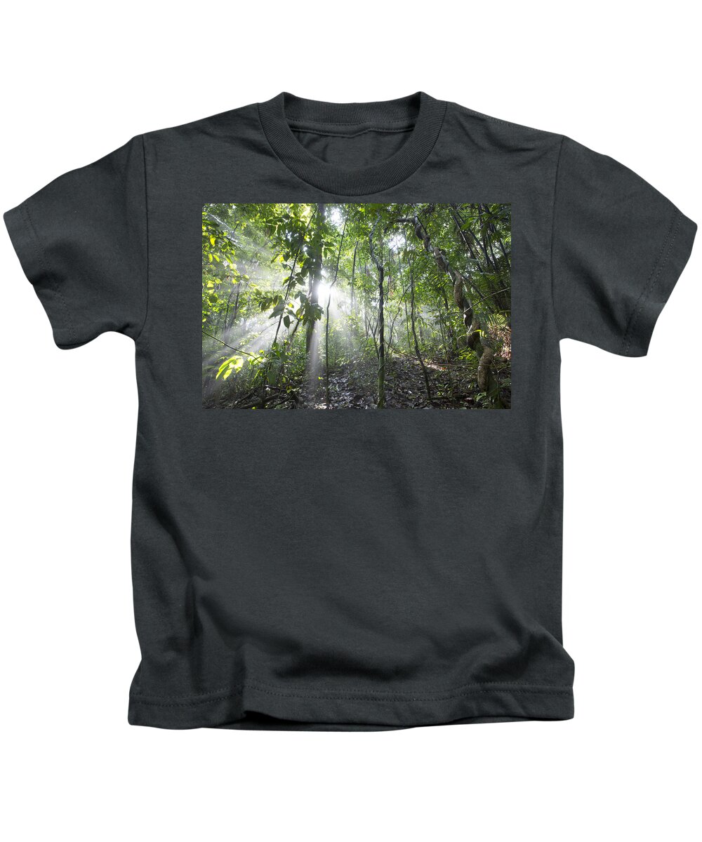 Feb0514 Kids T-Shirt featuring the photograph Sun Shining In Tropical Rainforest by Cyril Ruoso