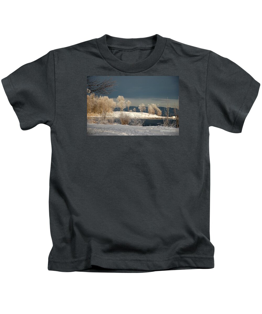 Swans Kids T-Shirt featuring the photograph Swans on a Frosty Day by Randi Grace Nilsberg
