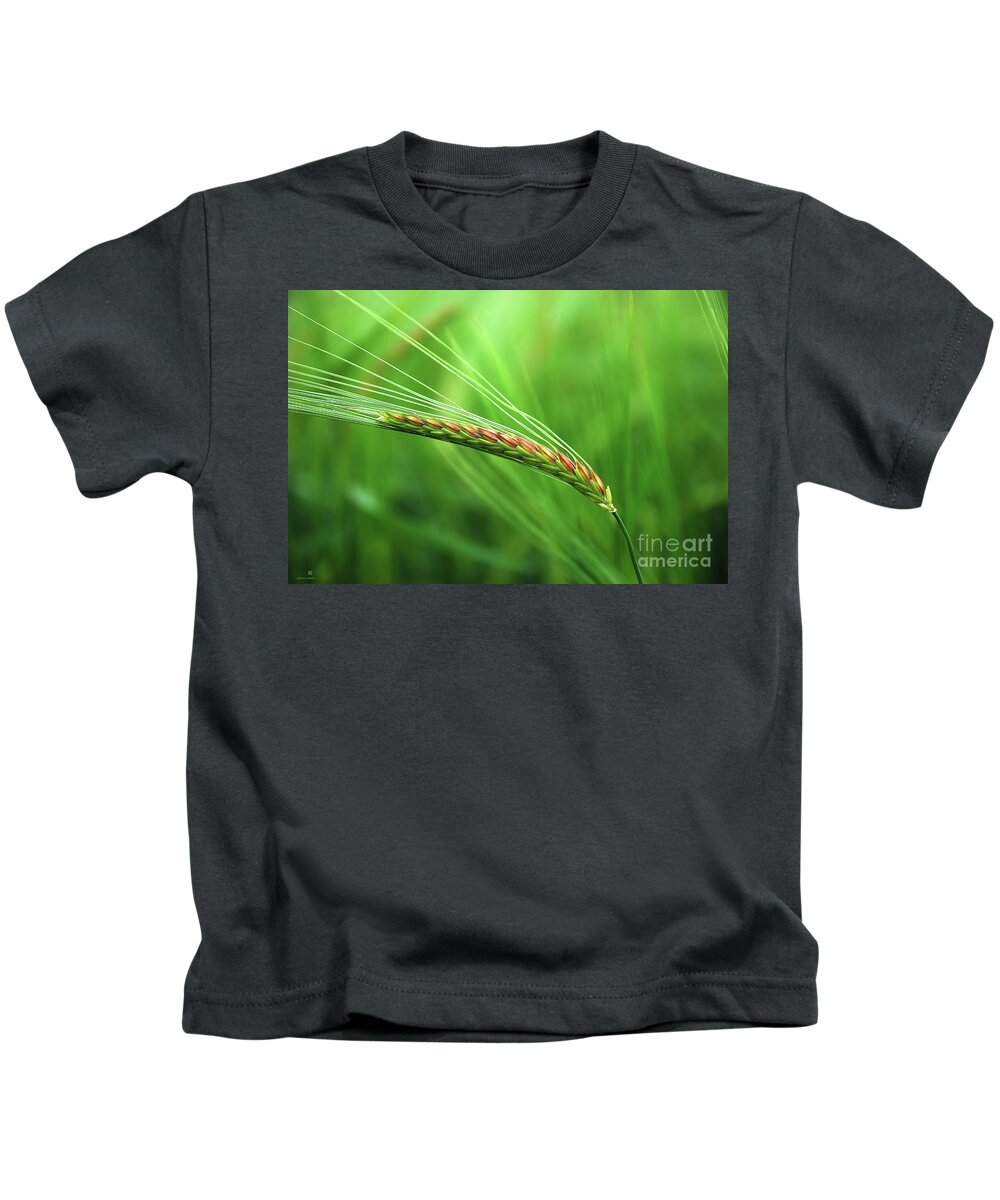 Corn Kids T-Shirt featuring the photograph The Corn by Hannes Cmarits