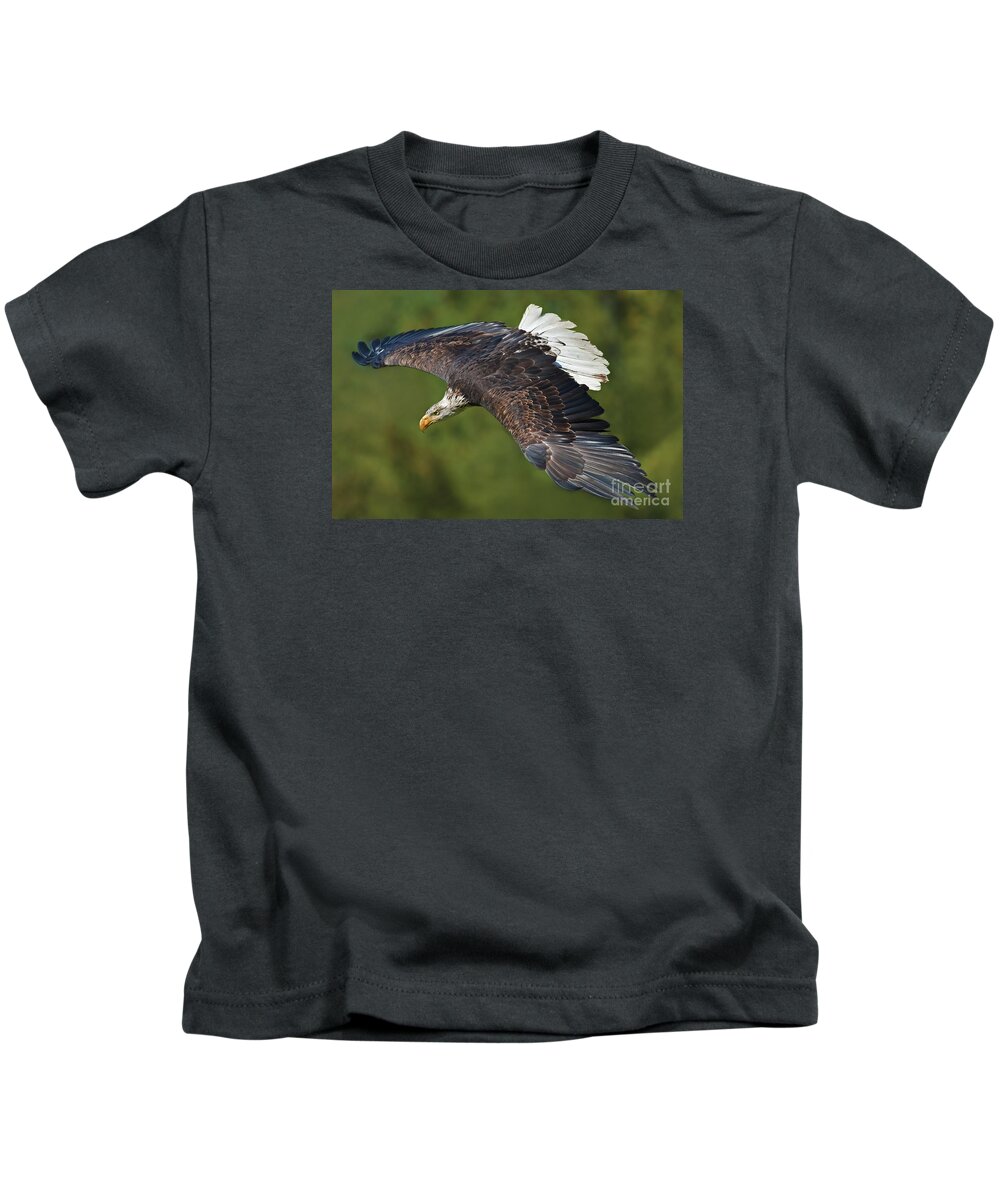 Nina Stavlund Kids T-Shirt featuring the photograph The King of the Skies... by Nina Stavlund