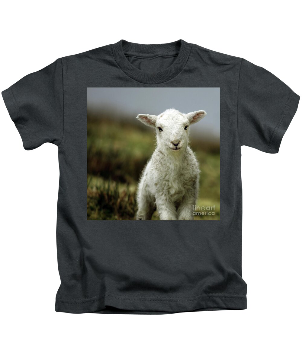 #faatoppicks Kids T-Shirt featuring the photograph The Lamb by Ang El