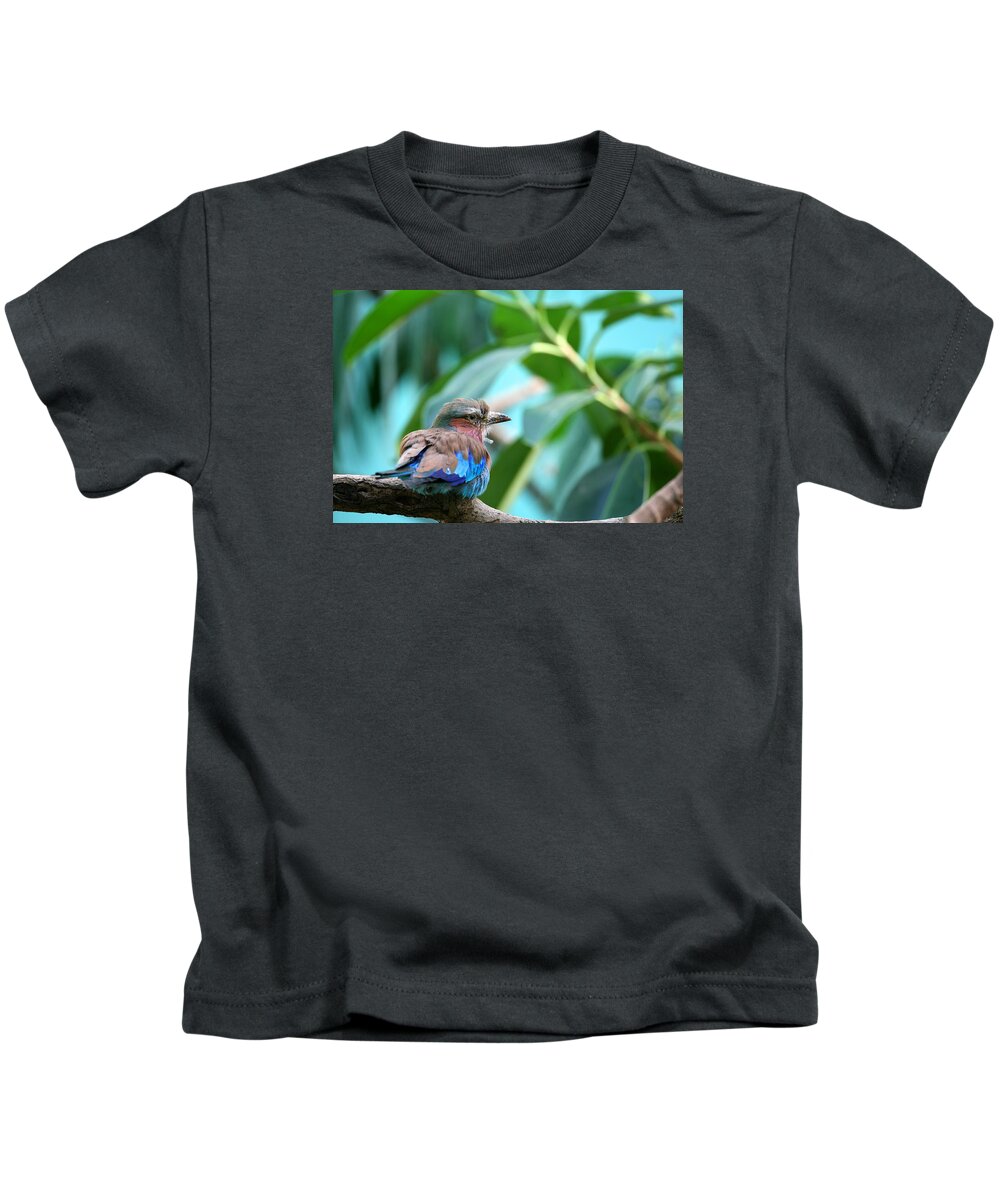 Lilac Breased Roller Kids T-Shirt featuring the photograph The Lilac Breasted Roller by Karol Livote