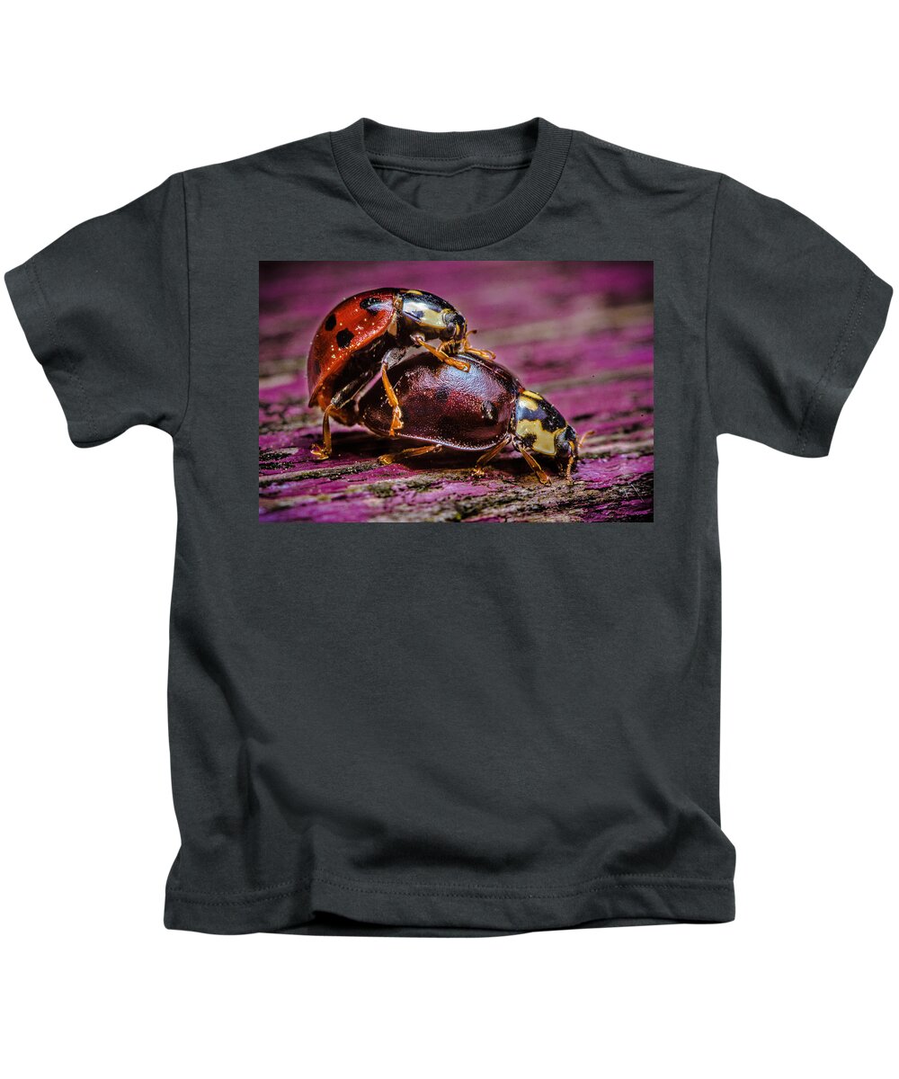 Insects Kids T-Shirt featuring the photograph The Love Bugs by Rick Bartrand