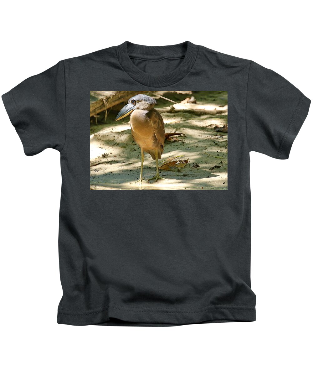 Boat Billed Kids T-Shirt featuring the photograph The nose by BYET Photography