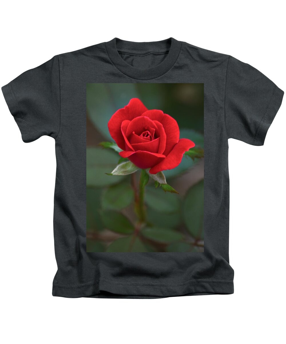 Flower Kids T-Shirt featuring the photograph The Perfect Rose by Parker Cunningham