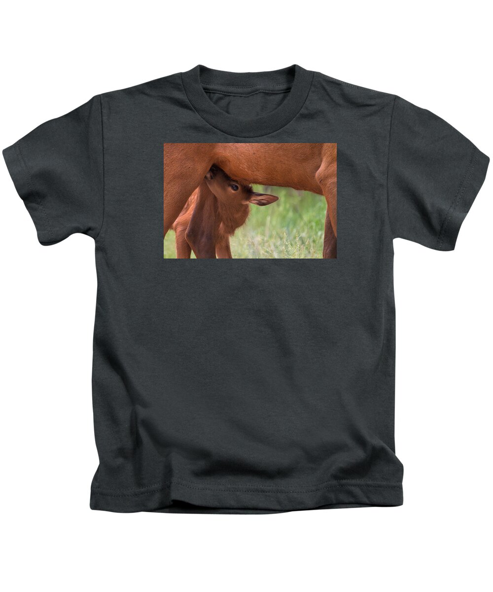 Elk Kids T-Shirt featuring the photograph The Right Stuff by Jim Garrison