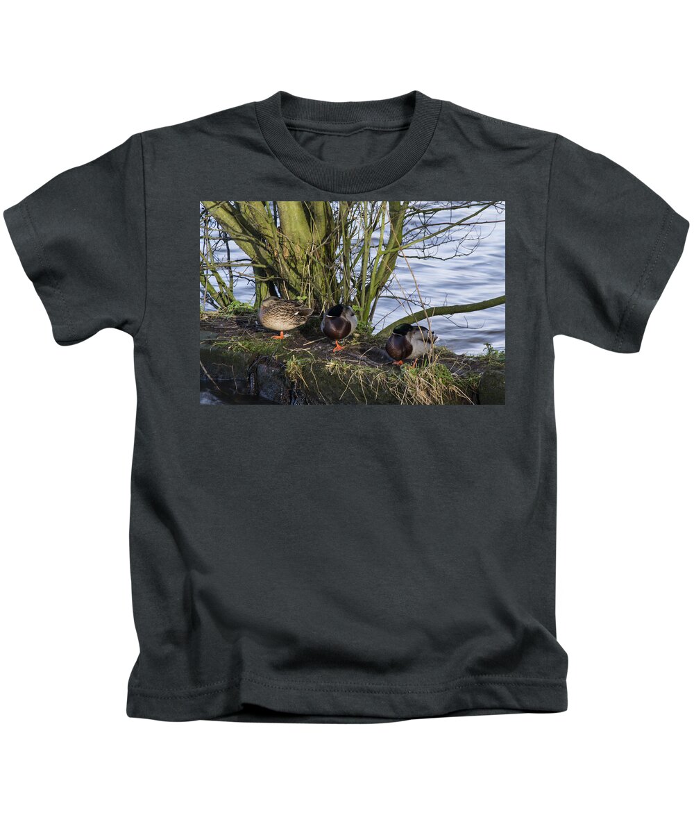  Duck Kids T-Shirt featuring the photograph Three In A Row by Spikey Mouse Photography