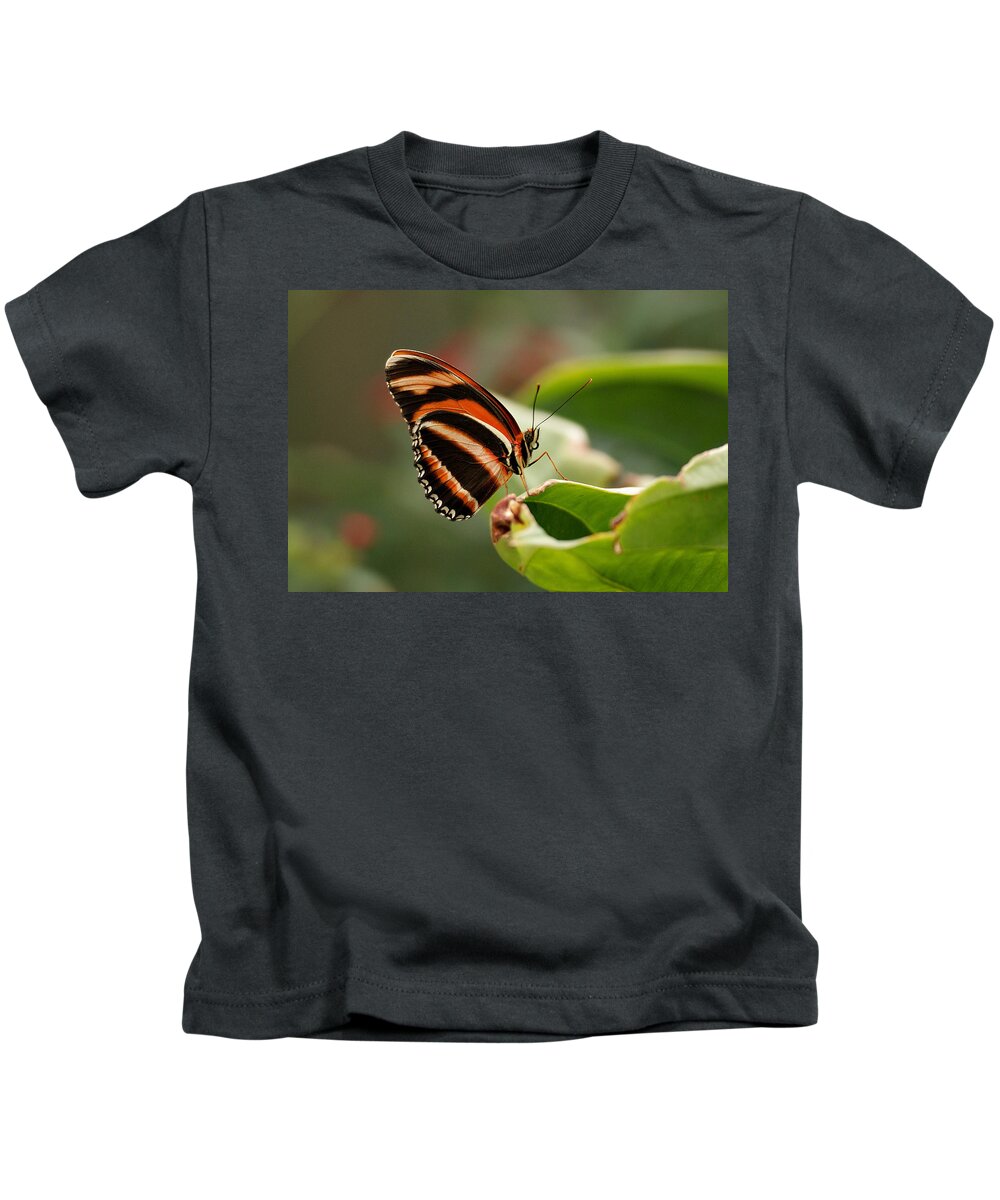 Butterfly Kids T-Shirt featuring the photograph Tiger Striped Butterfly by Sandy Keeton