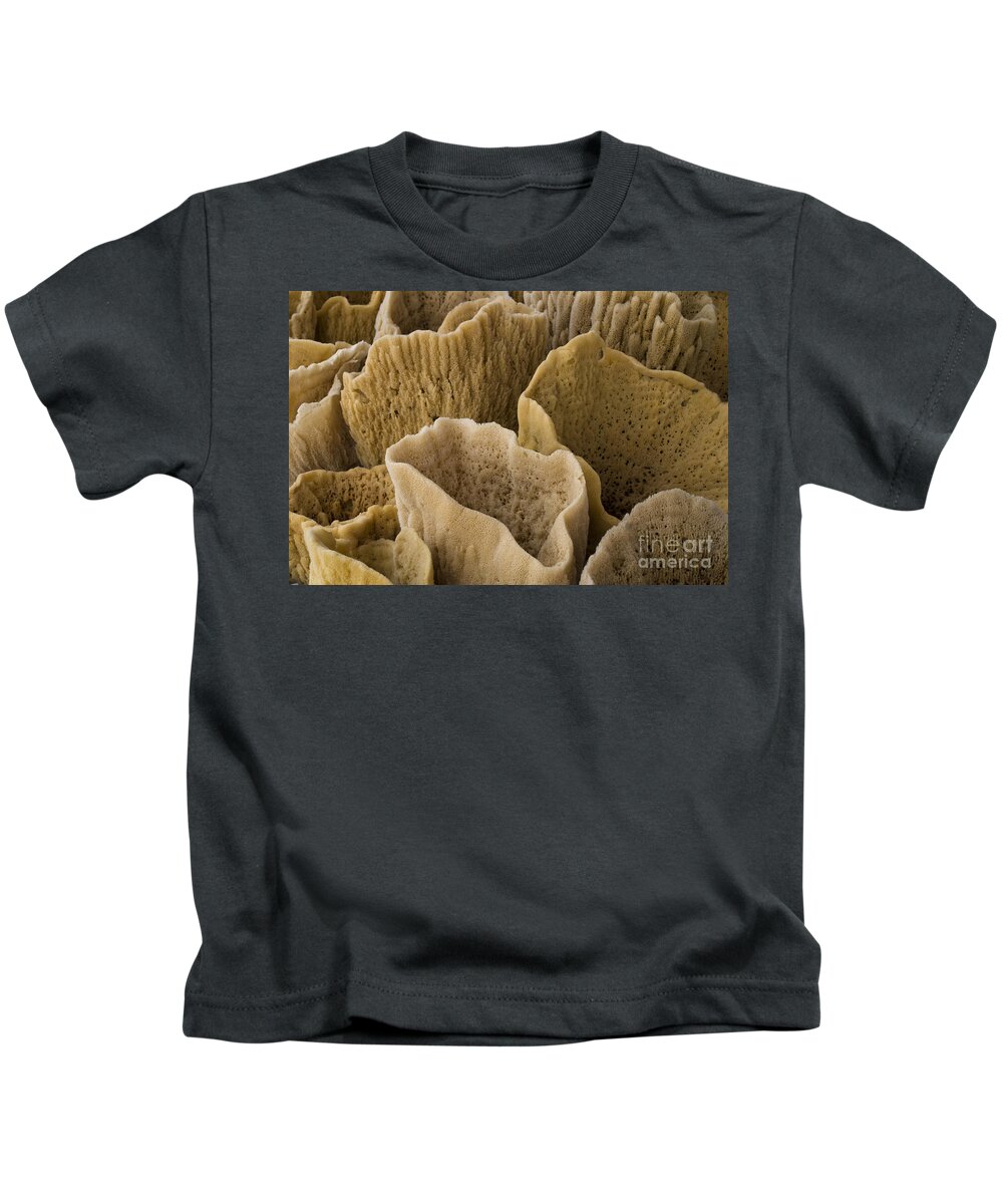 Sponges Kids T-Shirt featuring the photograph Vase Sponges by John Greco