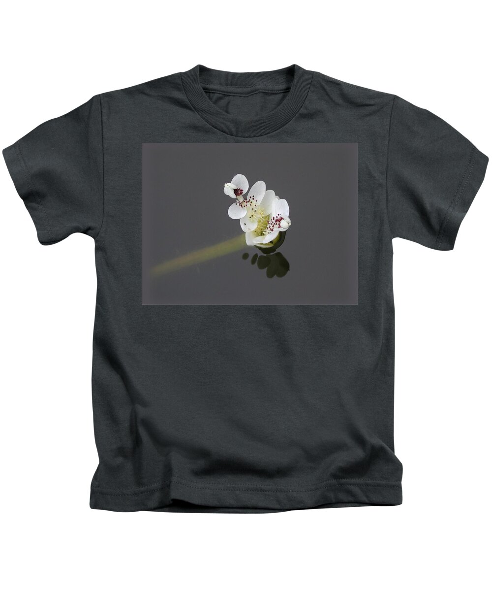 Waterlily Kids T-Shirt featuring the photograph Water Hawthorne by Mike Kling