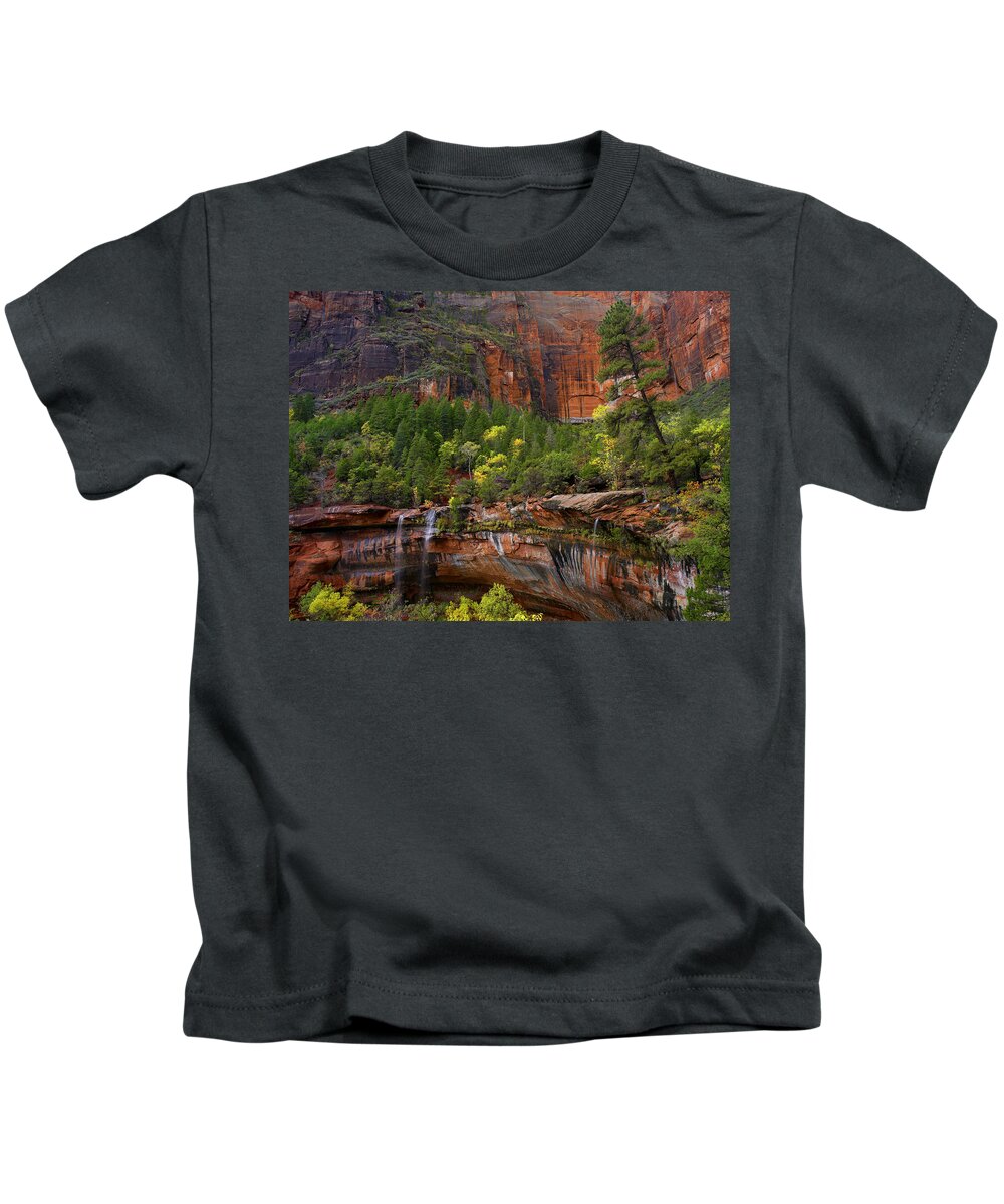 Feb0514 Kids T-Shirt featuring the photograph Waterfalls At Emerald Pools Zion Np Utah by Tim Fitzharris