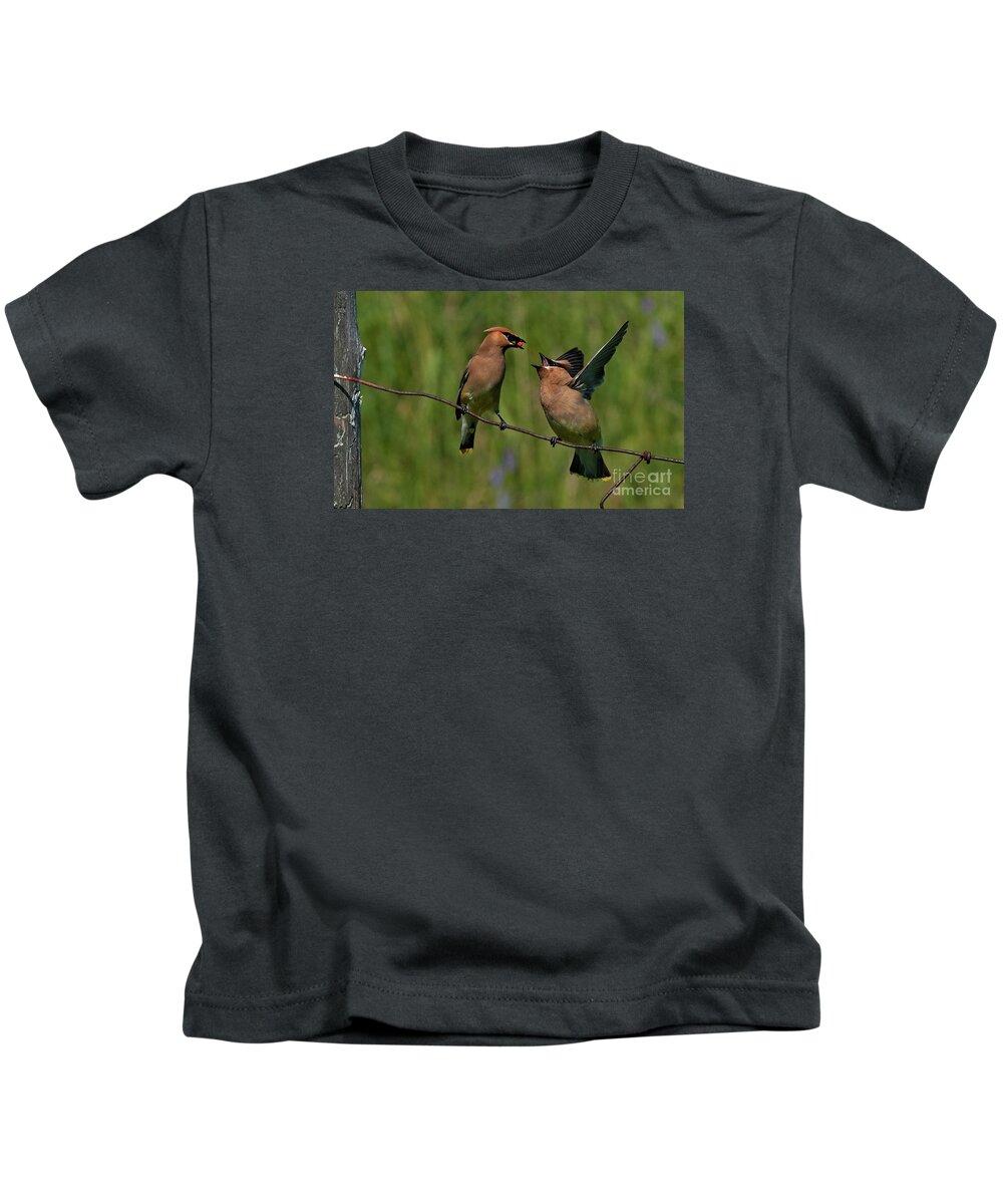 Festblues Kids T-Shirt featuring the photograph Waxwing Love.. by Nina Stavlund
