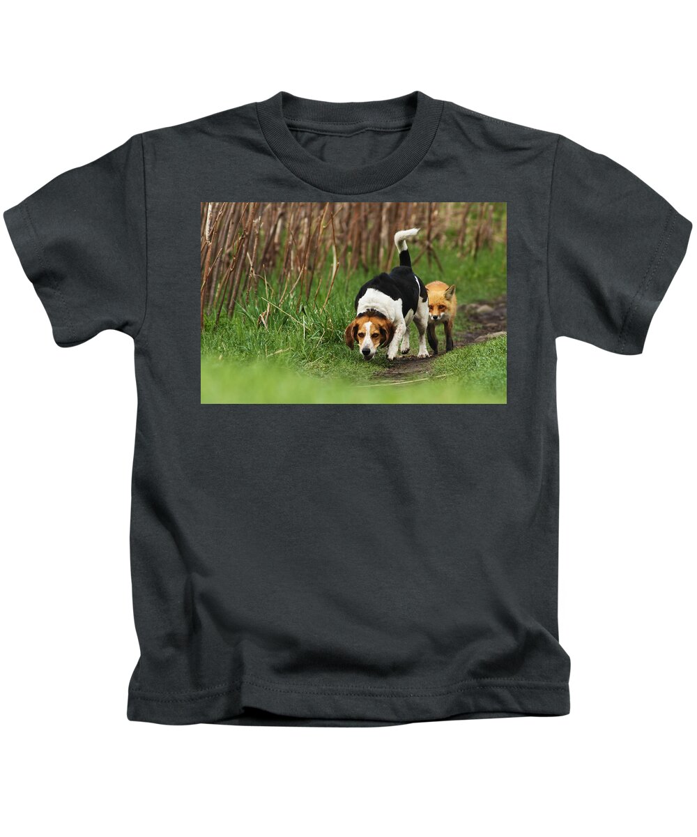Fox Kids T-Shirt featuring the photograph Where is the Fox by Mircea Costina Photography