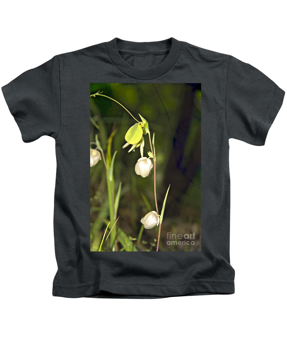 Wildflowers; Globes; Nature; Green; White Kids T-Shirt featuring the photograph Whispers by Kathy McClure