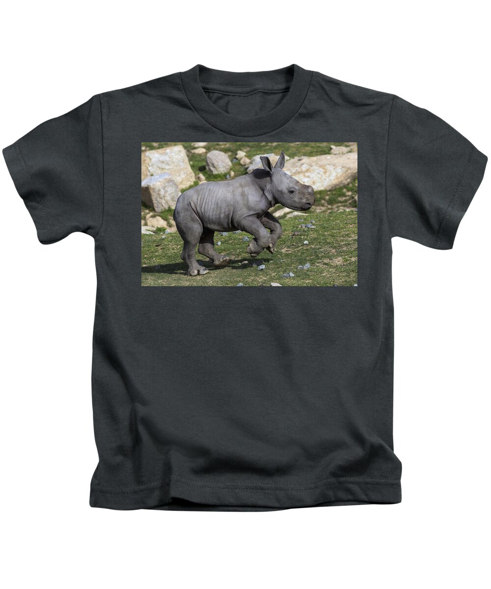 Feb0514 Kids T-Shirt featuring the photograph White Rhinoceros Calf Running by San Diego Zoo