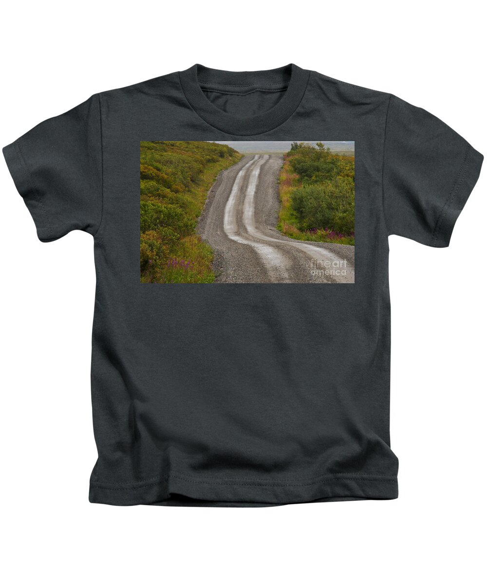 Denali Park Road Kids T-Shirt featuring the photograph Winding Road, Denali National Park by Ron Sanford