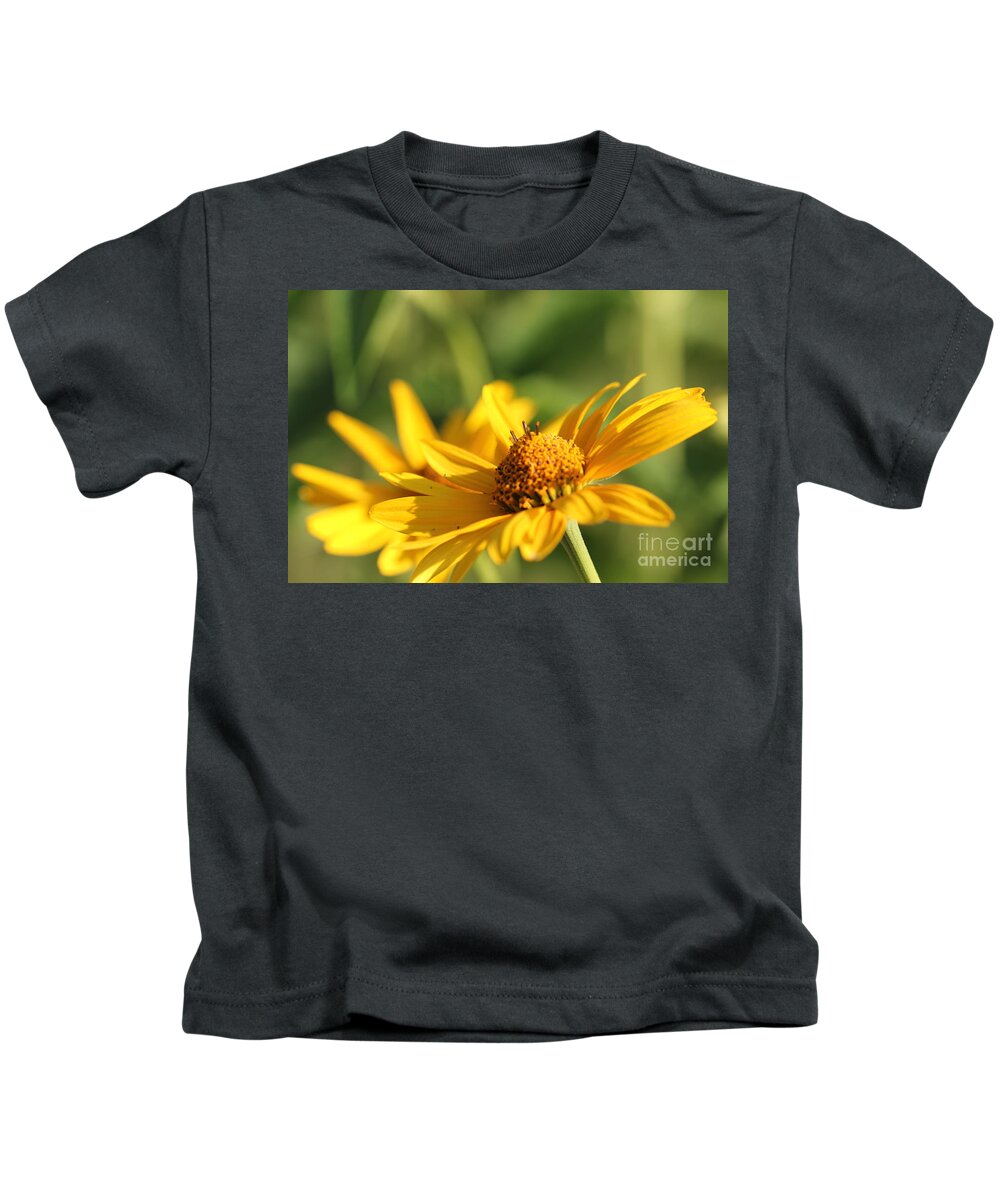 Blossom Kids T-Shirt featuring the photograph Yellow Flower by Amanda Mohler