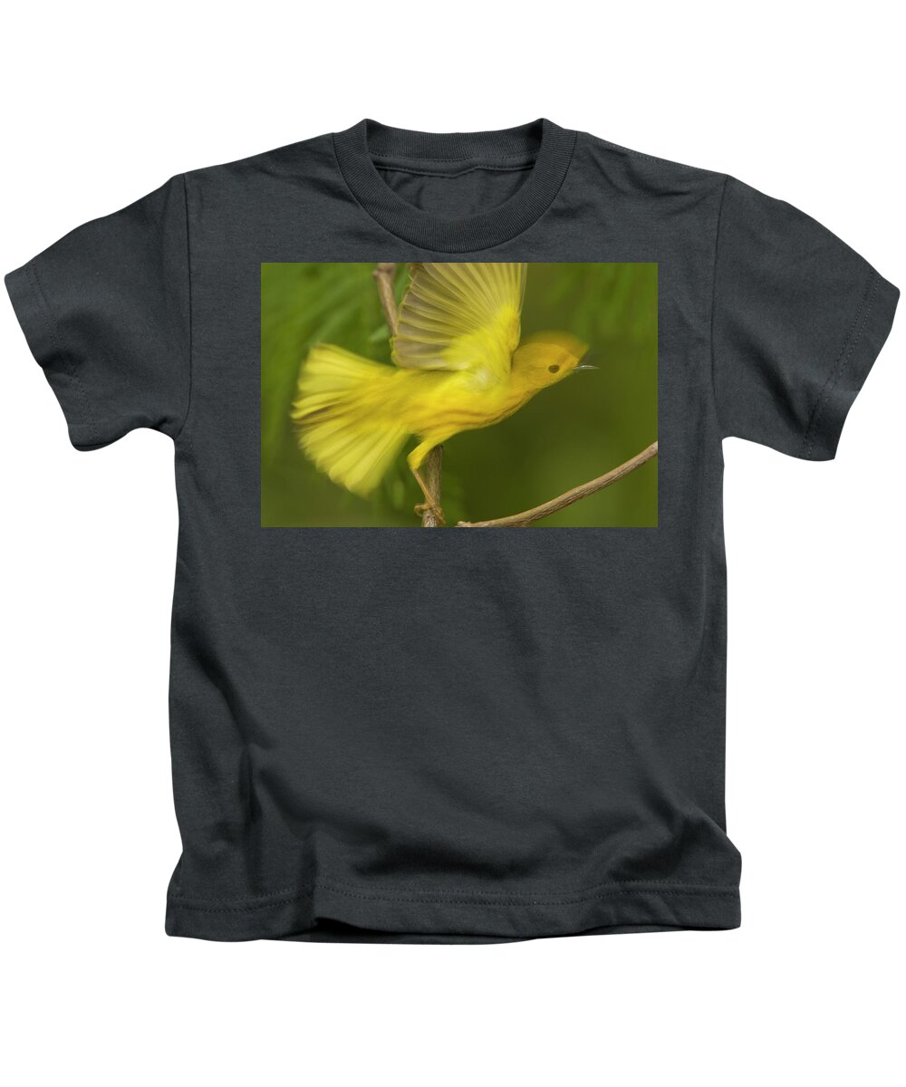 00221167 Kids T-Shirt featuring the photograph Yellow Warbler Male Taking Flight by Tom Vezo