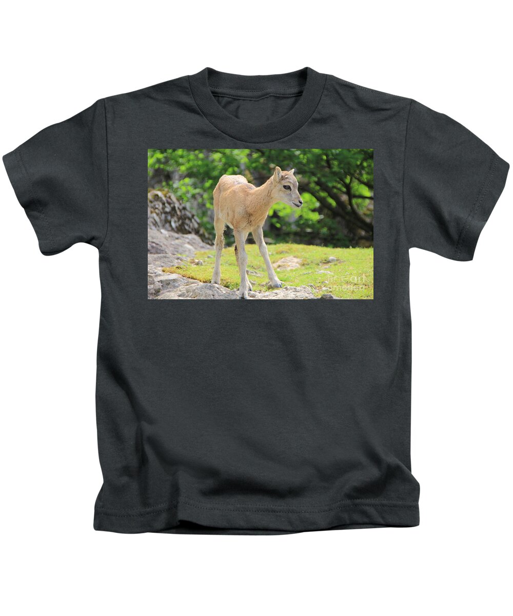 Animal Kids T-Shirt featuring the photograph Young Goat by Amanda Mohler
