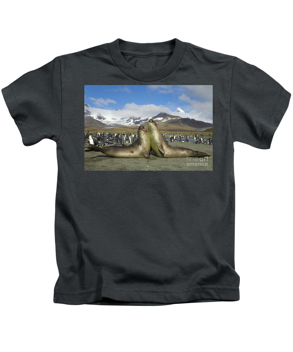 00345336 Kids T-Shirt featuring the photograph Young S Elephant Seals Playing by Yva Momatiuk John Eastcott