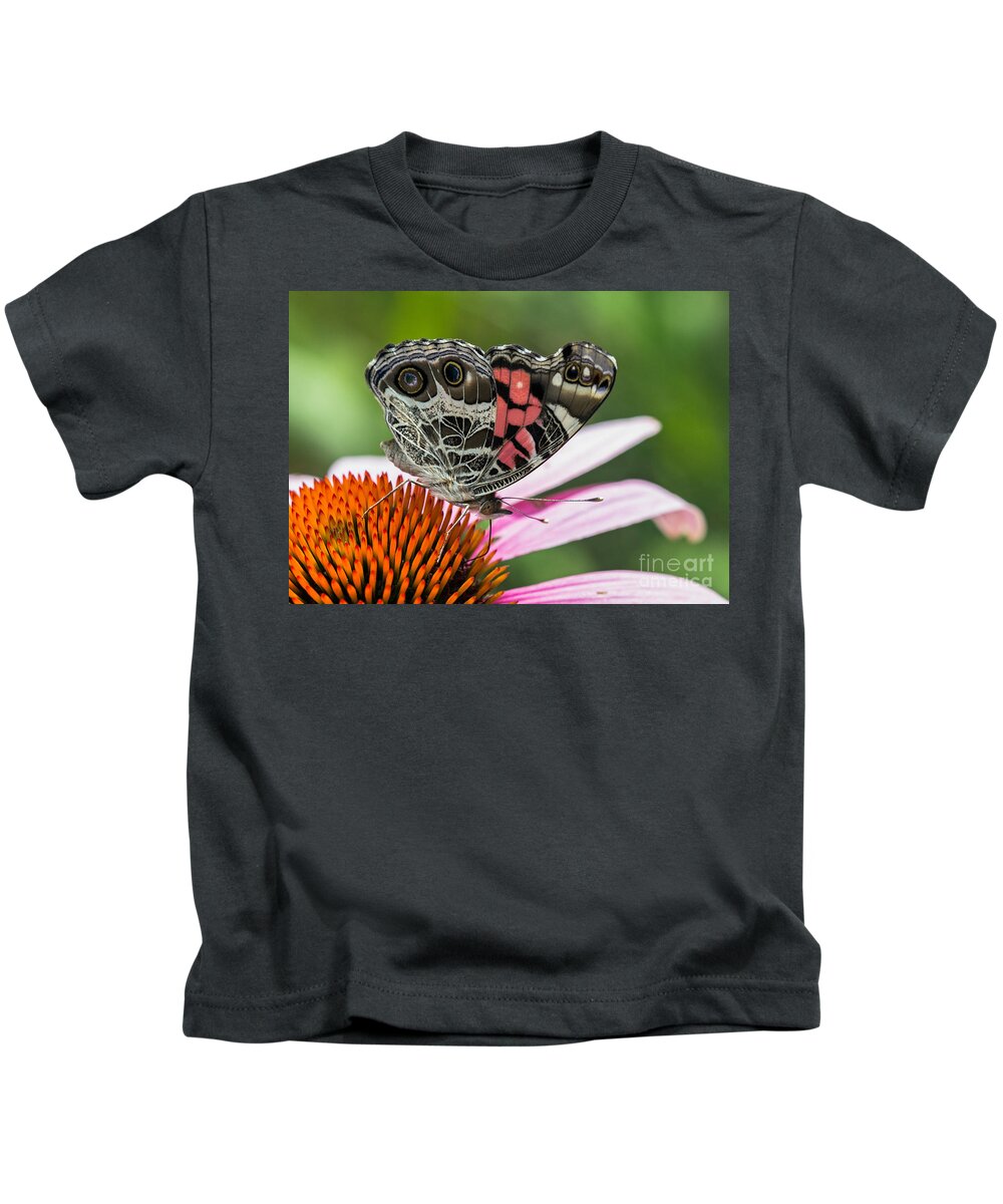 Zebra-swallowtail Kids T-Shirt featuring the photograph Butterfly feeding #1 by Bernd Laeschke
