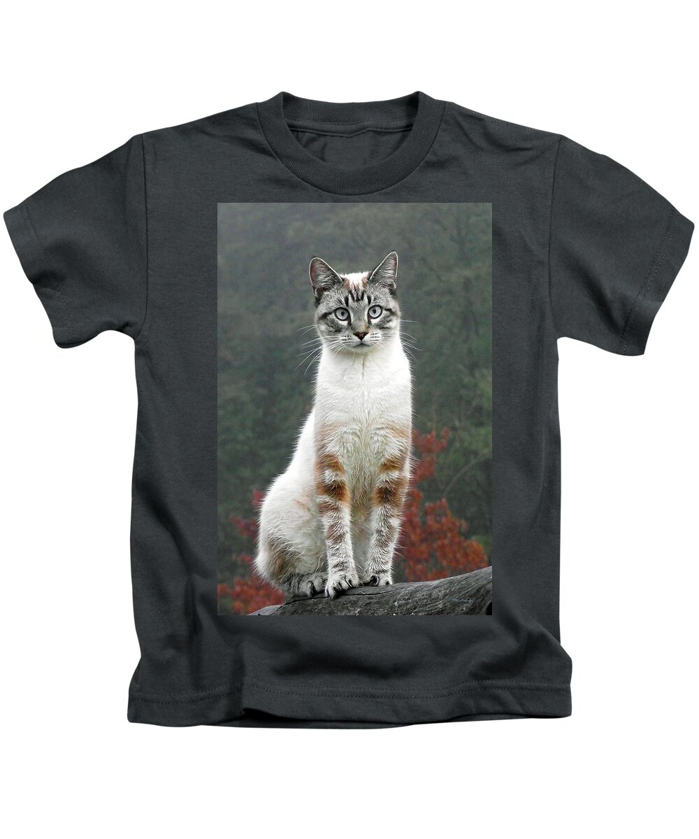 Duane Mccullough Kids T-Shirt featuring the photograph Zing the Cat by Duane McCullough