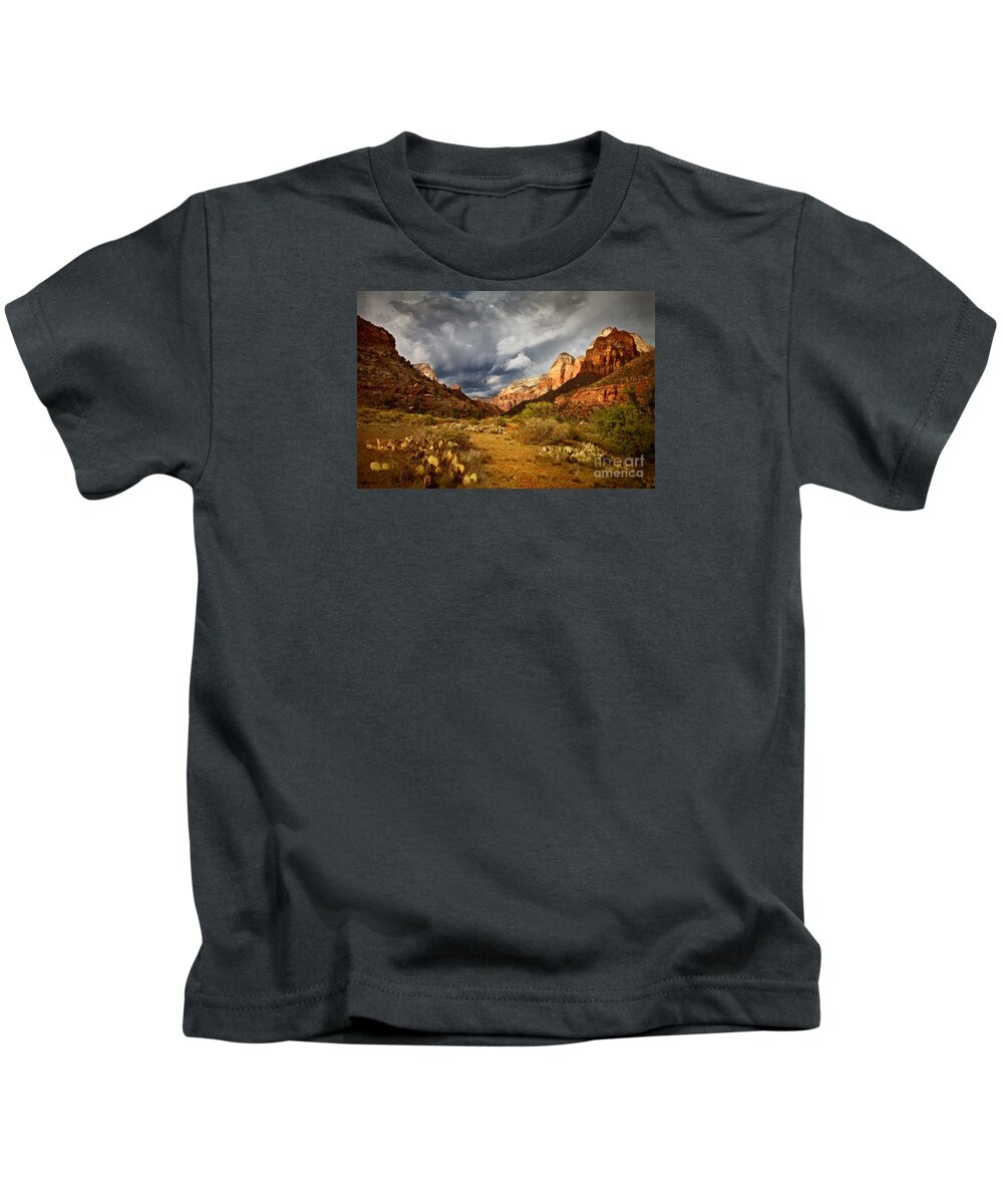 National Park Kids T-Shirt featuring the photograph Zion Clearing Storm by Alice Cahill